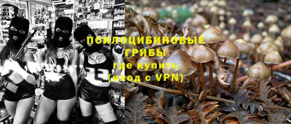 дурь Алзамай