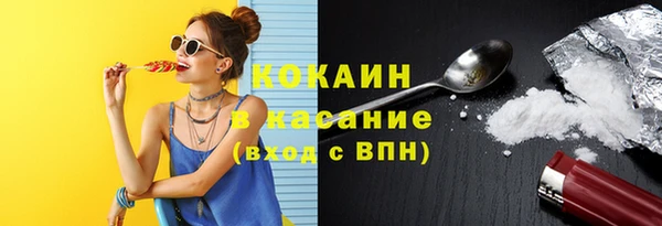 твердый Алексеевка