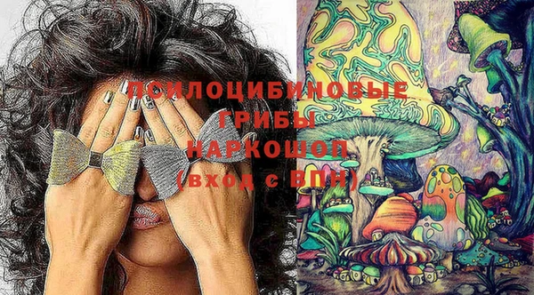 дурь Алзамай