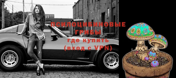 твердый Алексеевка