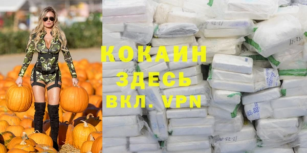 дурь Алзамай