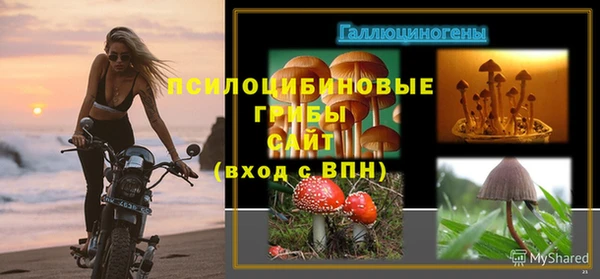твердый Алексеевка